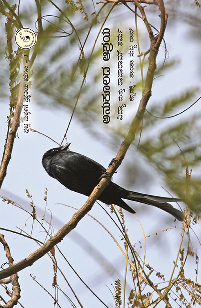 ಅನುಕೂಲದ ಆಶ್ರಯ | Anukoolada Aashraya